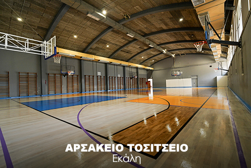 ΑΡΣΑΚΕΙΟ ΤΟΣΙΤΣΕΙΟ ΕΚΑΛΗΣ